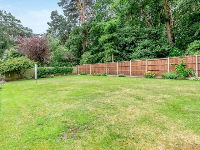 This photo underlines how large the lawn is at the back of the property. The backdrop is Berry Hill Park Woods.