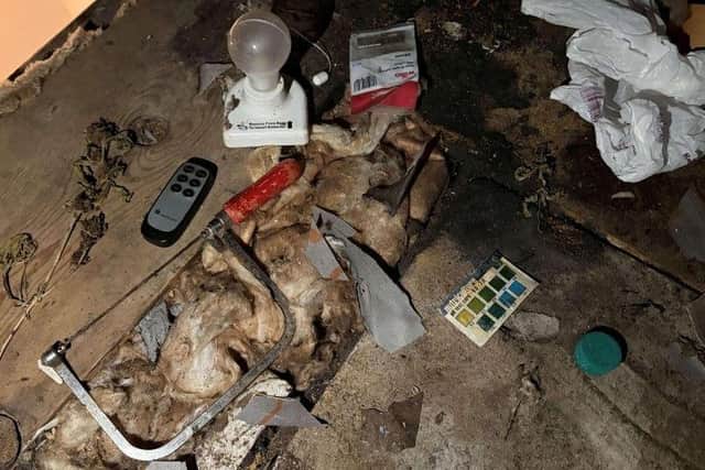 Cannabis plant and items left in loft