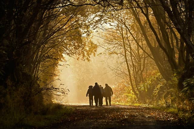 Here are seven perfect places near Mansfield for an autumnal walk. (Photo by Jeff J Mitchell/Getty Images)