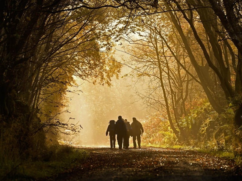 Here are seven perfect places near Mansfield for an autumnal walk. (Photo by Jeff J Mitchell/Getty Images)