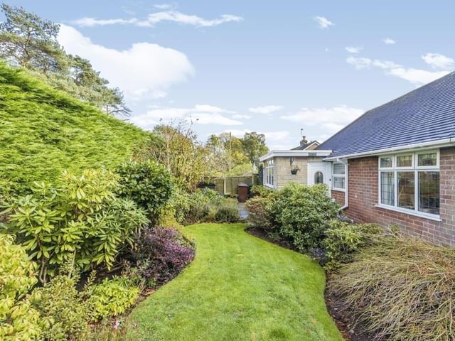 Here is one of the gorgeous garden areas at the Ravenshead bungalow. A well-established lawn with plants, trees and shrubs.