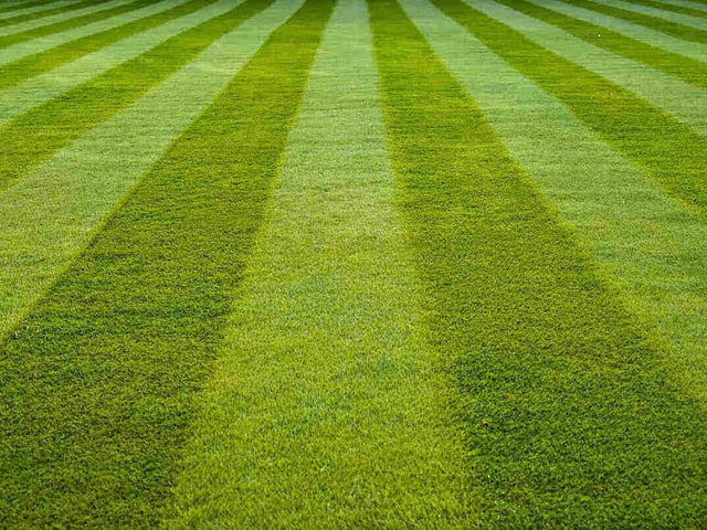 Weave It Green, located in Alfreton, provides services to the surrounding areas. This domestic and commercial gardening service has a rating of 4.9 stars from over 30 reviews on Google. Contact Weaveitgreen@outlook.com for more information about services.