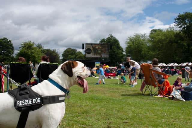 Crowds enjoying a previous cinema event at Sutton Lawn