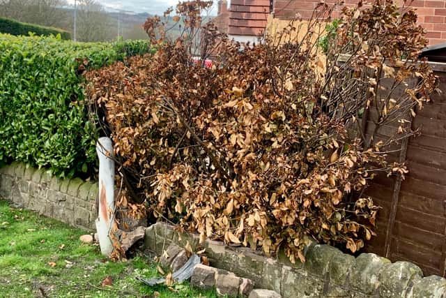 A car ploughed through a stone wall and straight into someone's garden last year.