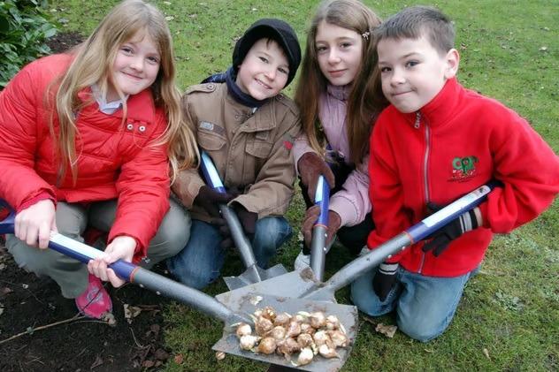 Pupils from Croft Primary School in Sutton planted bulbs on Sutton Lawn. From the left - Charley Hallam, Liam Best, Natalie Hodgkinson and Michael Steel.