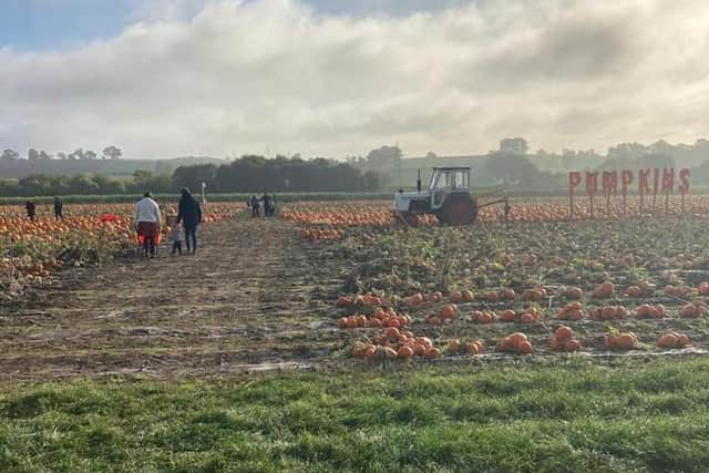 The site welcomed its first visitors this morning