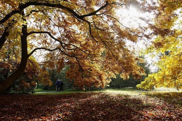 Wrap up warm to keep the chills at bay and take a walk around the beautiful grounds at Oakham Nature Reserve.