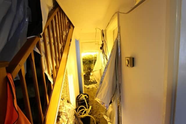 Inside the property where cannabis plants were discovered by Nottinghamshire Police. Photo: Nottinghamshire Police.