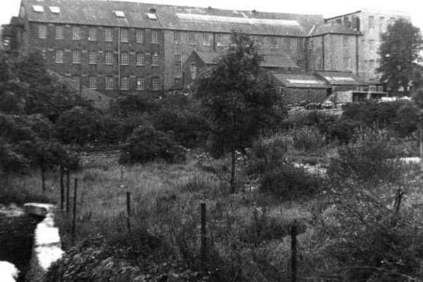 Many great buildings have disappeared from Mansfield's landscape over the years. Pictured: Hermitage Mill.