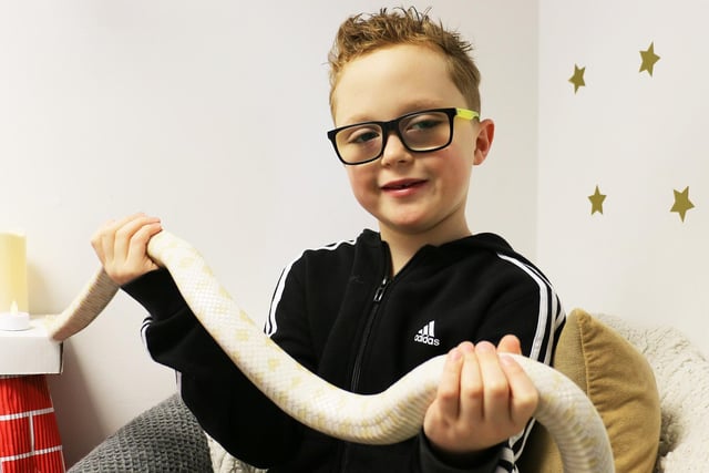 Many of the children, including seven-year-old Jack Bingham, showed no fear handling the reptiles.