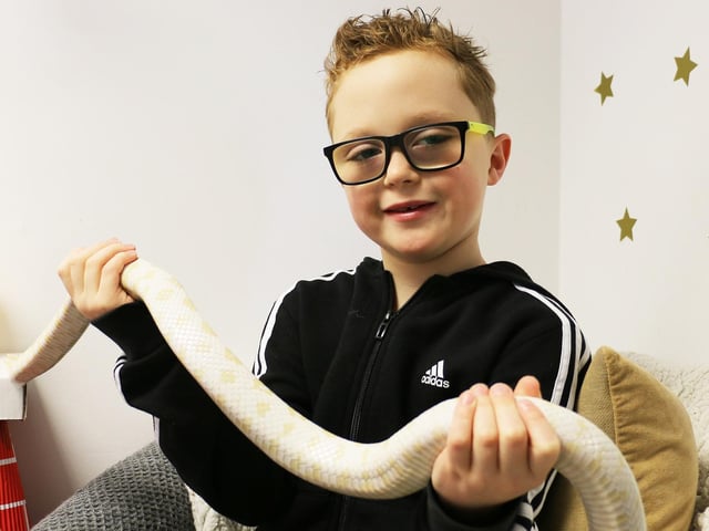 Many of the children, including seven-year-old Jack Bingham, showed no fear handling the reptiles.