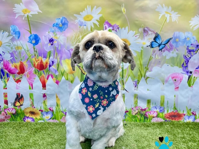 Standing to attention on showing off the new look