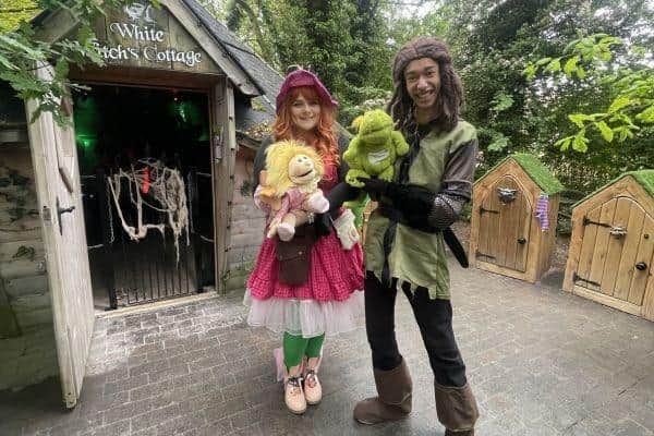 Enchanted Fairy Forest Returns!