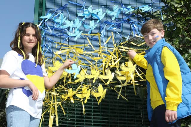 Georgie and Ben from Shirland Primary are just two of the children to post their messages of peace.