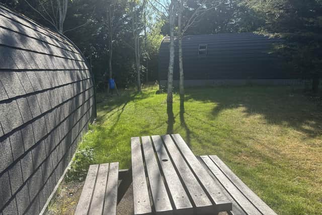 The trees behind the pod are a great place to relax in or for kids to explore.