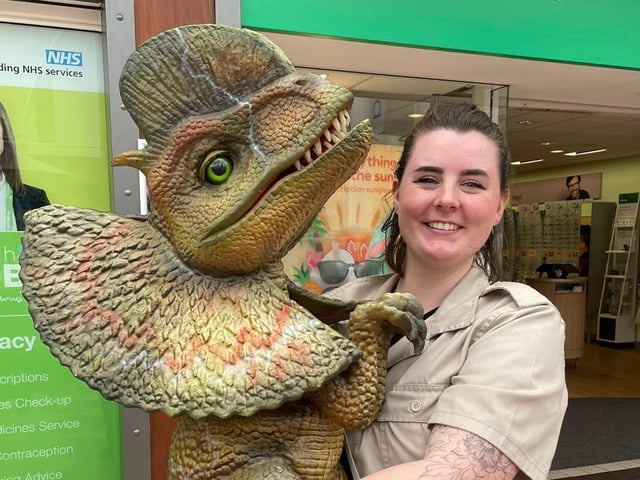 A dino visitor at Idlewells.