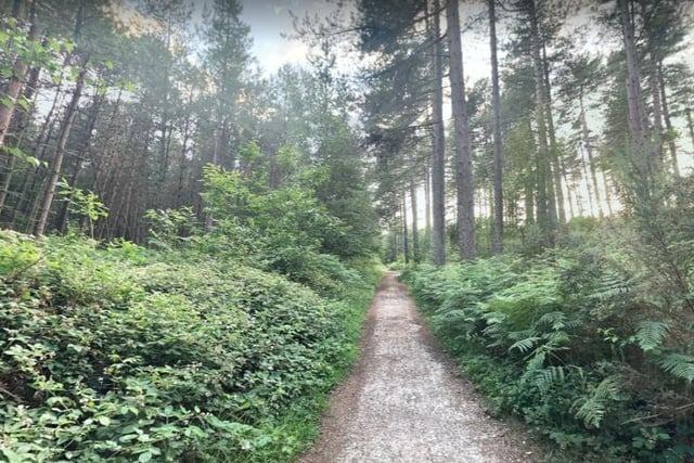Why not spend some time in nature? Whether you prefer a short stroll or a group hike, there are plenty of trails to explore. We have Sherwood Forest, Sherwood Pines, Oxclose Woods, and Quarry Lane Nature Reserve right on our doorstep.