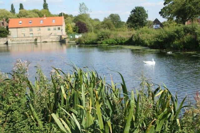 This summer is an ideal chance to enjoy Mansfield's hidden gems, a network of nine local nature reserves that enhance the environment. One of them is The Carrs in Warsop, which features a stunning mill pond, home to swans, ducks and fish, a small island that is an important haven for wildlife and thriving woodland. Brown trout can be seen in the River Meden that flows through the nature reserve.