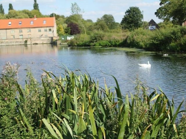 This summer is an ideal chance to enjoy Mansfield's hidden gems, a network of nine local nature reserves that enhance the environment. One of them is The Carrs in Warsop, which features a stunning mill pond, home to swans, ducks and fish, a small island that is an important haven for wildlife and thriving woodland. Brown trout can be seen in the River Meden that flows through the nature reserve.