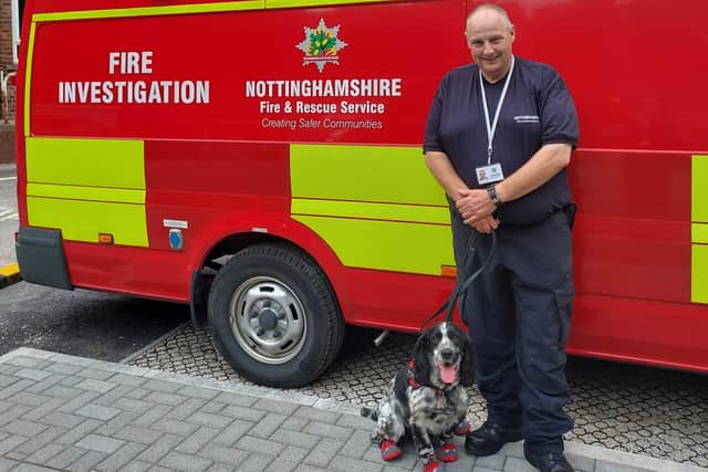 Dexter the Fire Investigation Dog with his handler Dave Coss.