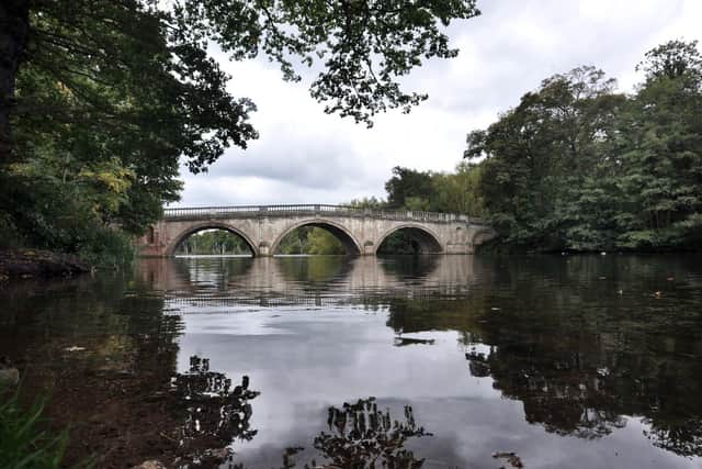 The National Trust says social-distancing is destroying vegetation at Clumber Park