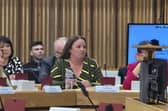 Coun Samantha Deakin is the new leader of Ashfield Council. Photo: Submitted