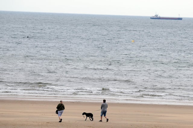 Time for a dog walk on the beach at Seaburn.