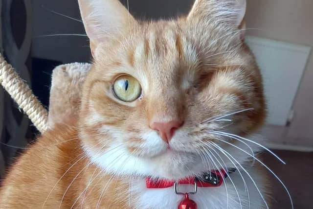 The adorable Eric, approximately eight-years-old.