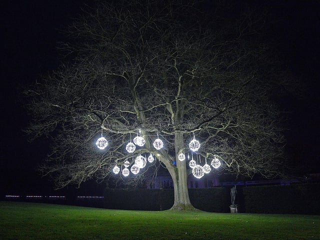 Even the trees have been involved.