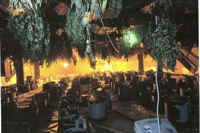 More than a million pounds worth of cannabis has been recovered from the Grade II listed building. Image: Nottinghamshire Police.