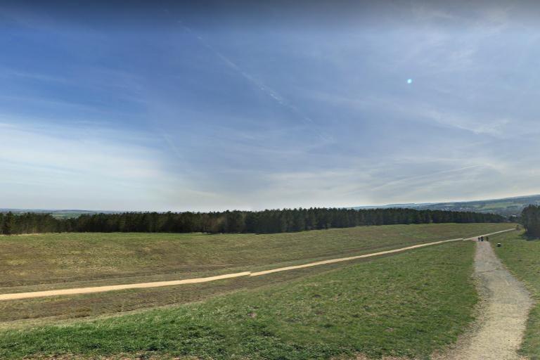 Take a wintry stroll around all the vast open green space at Silverhill Wood.
