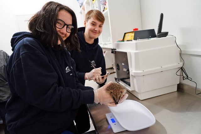 Charlotte White and Kai Booth are Level 3 animal care students from Vision West Notts.