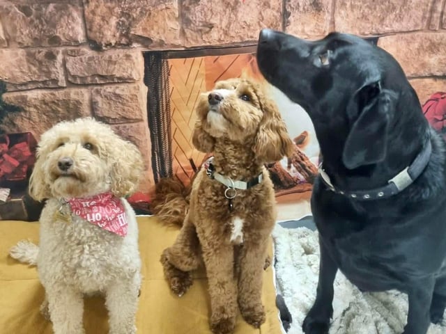 Festive friends by the fire.