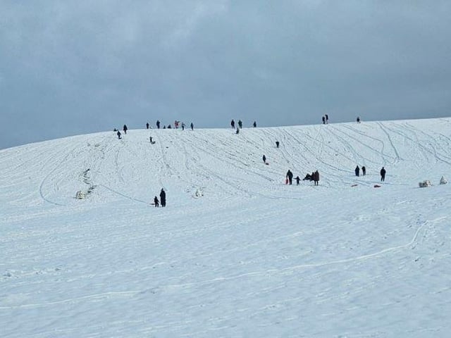 People out enjoying some sledging on Friday morning.