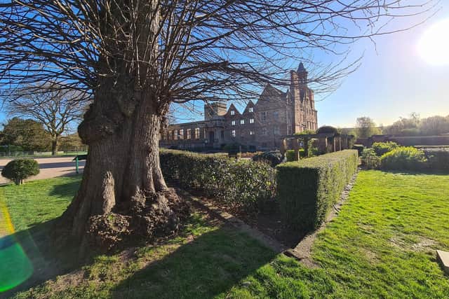 Rufford Abbey Country Park, where the cafe, restaurant and pizza van are "truly deserving of recognition", according to the Visit England tourist board.