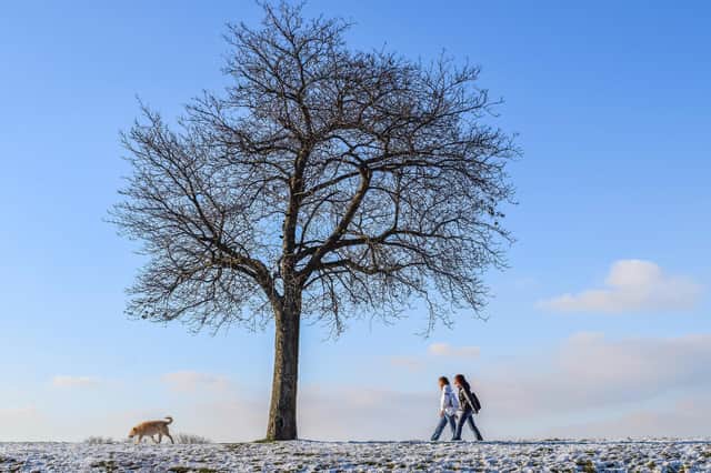 There are plenty of places to enjoy a walk in nature this Christmas.