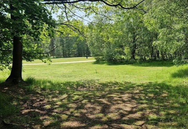 Interested in a summer camping retreat? Sherwood Pines is a new edition to the forest, providing a unique and peaceful getaway for family and friends. Look no further for the perfect campsite base to immerse yourself in the magic and legend of Robin Hood and his merry men. There is plenty to do around the area, from local cycle routes to swinging through the trees at GoApe.