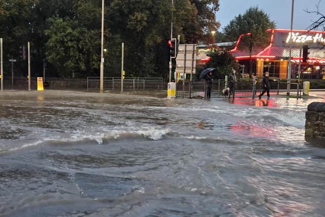 Waves were spotted on Nottingham Road/Portland Street area - near Titchfield Park. Photo sent in by Philip Mitchell.