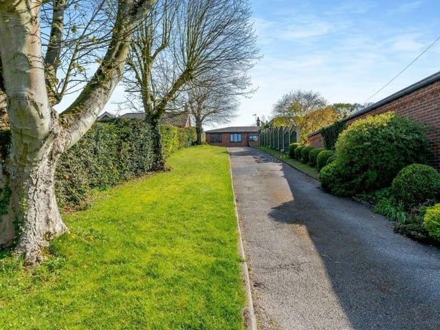 To complete our gallery, here is that long driveway -- or the yellow brick road! -- that leads to the property. It is flanked by lawns, shrubs and hedges.