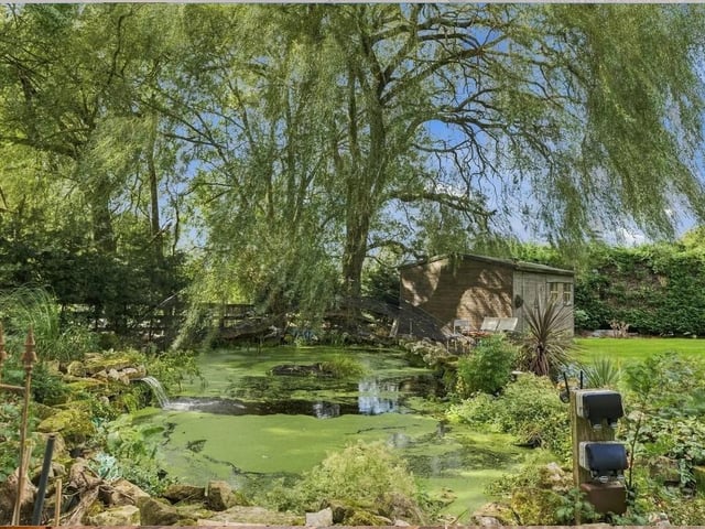 The fabulous 10 metre by 6 metre pond sits beneath a magnificent mature weeping willow