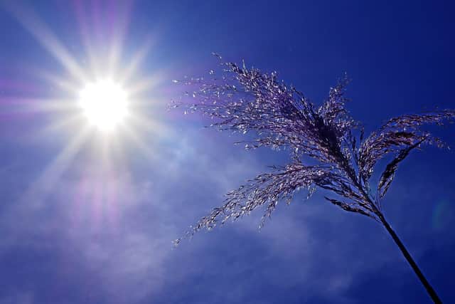 The weather in Mansfield is expected to reach the 30s by Sunday.