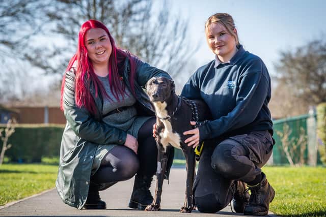 Platform representative, Joanna Reynolds, visiting RSPCA Radcliffe