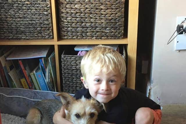 The six-year-old rescue dog has a strong bond with young Freddie.