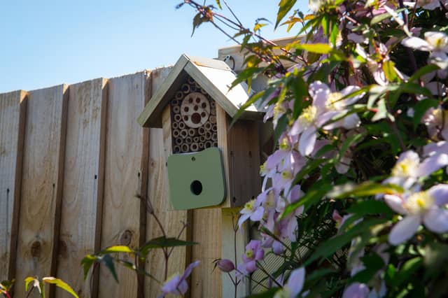 002 BEM_TheHawthorns_SuttoninAshfield_RSPB - An RSPB accredited garden at a David Wilson Homes East Midlands development