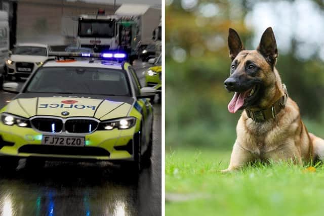 Expert pursuit drivers teamed up with a police dog handler to stop a stolen caravan and detain three suspects