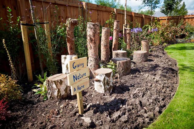 DWH David Wilson Homes new show home has a special garden designed for insects and wild animals