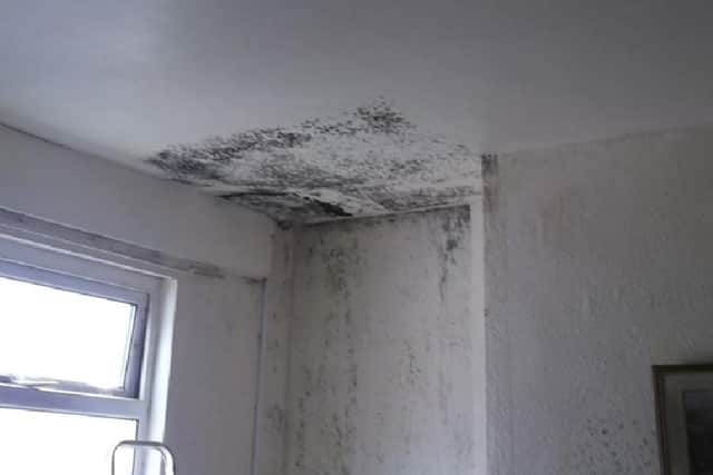 Mould on the ceiling of the second property the council team inspected