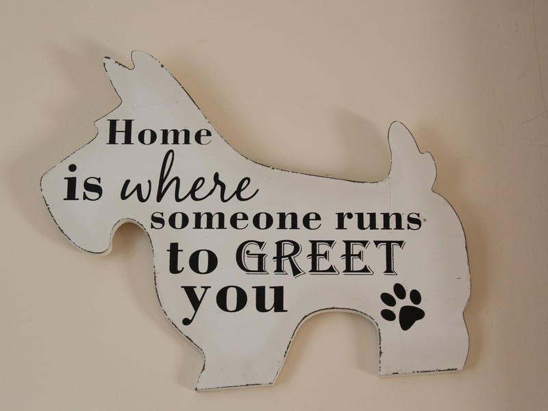 The decor is a dog lover's dream.