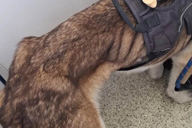 Casper lost a significant amount of weight while on the run for 14 days.