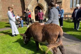 Hugo's big day - he is pictured being led by Di Slaney into the church at Bilsthorpe for the Palm Sunday service